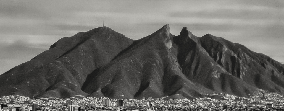 ニッチな分野でトップシェアを狙う