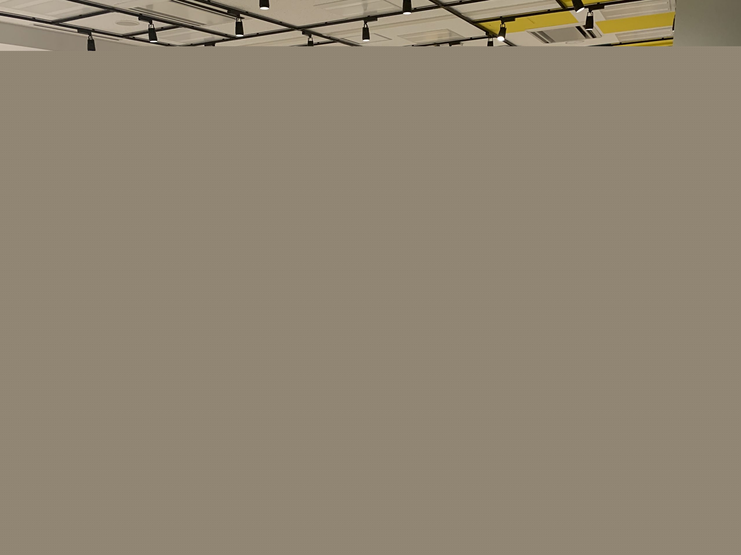 Webデザイナー/エンジニア